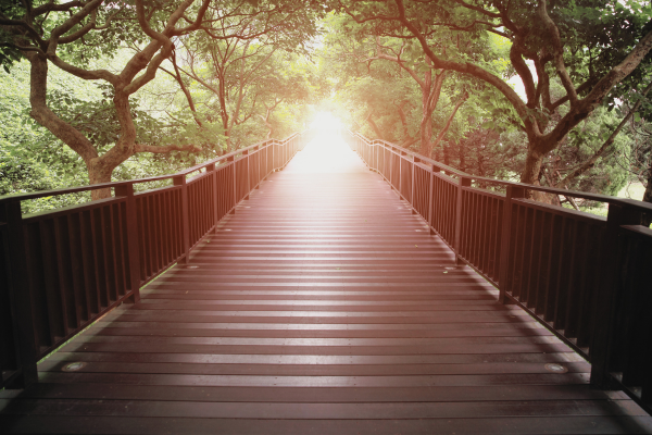 Navigating Suffering with Buddhist Wisdom