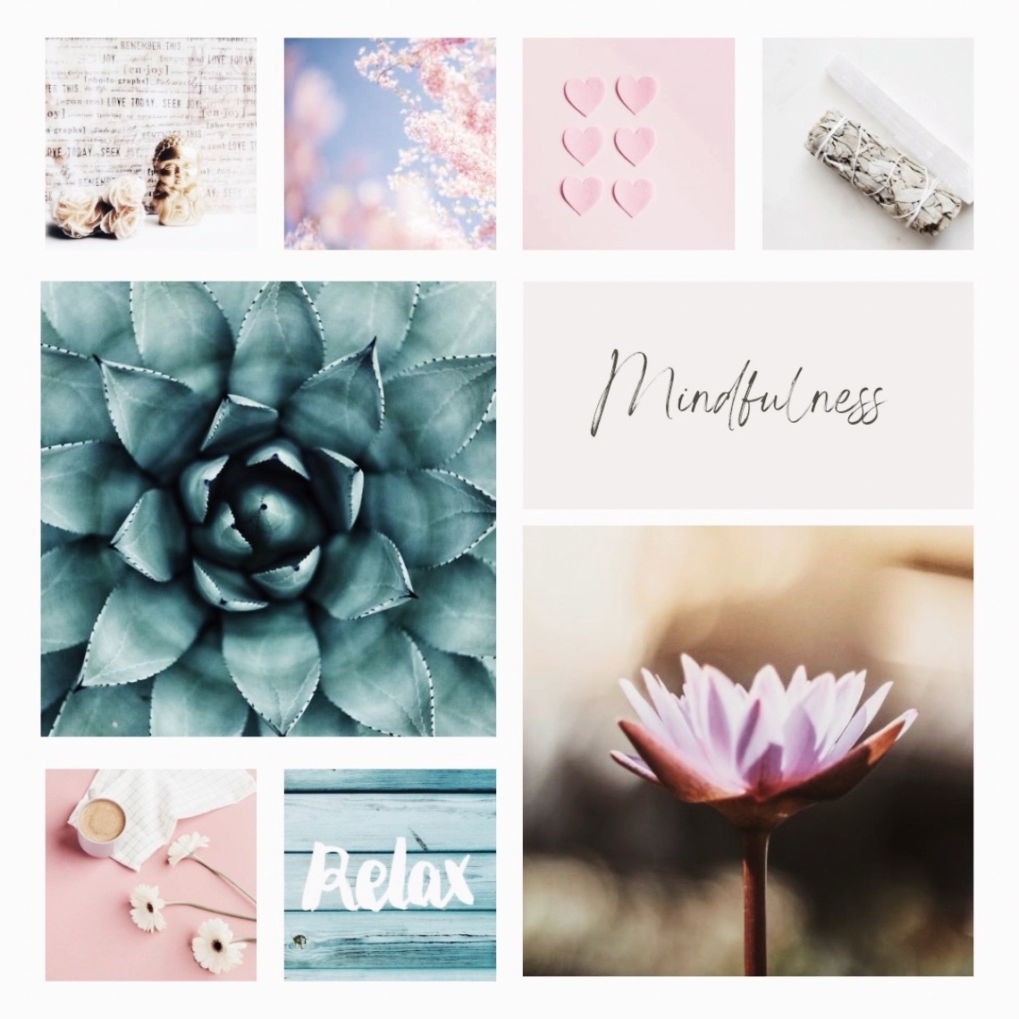 Exclusive Offer: Thanksgiving Gratitude