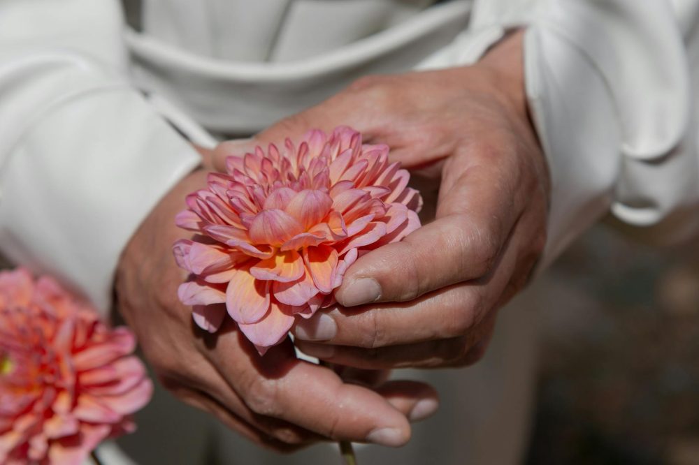 Cultivating Calm with Sunday Softening Practices