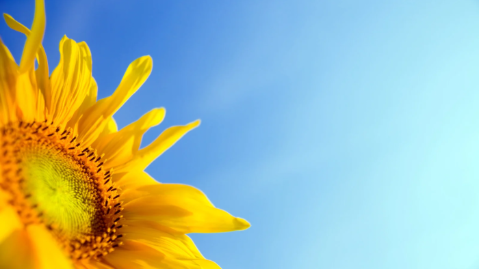 Cultivating Abundance: Mindful Practices for a Fulfilling Life