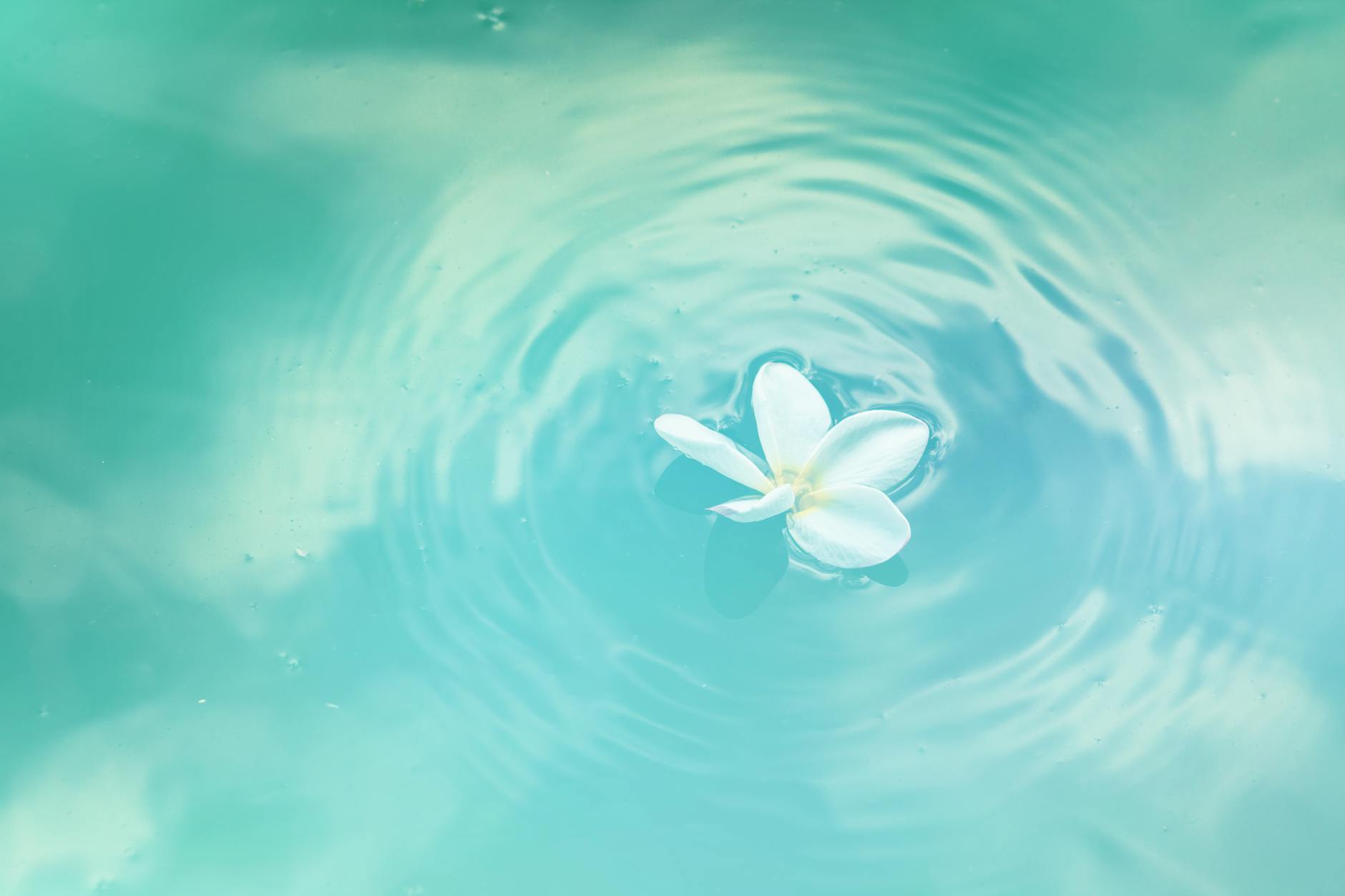 Sunday Softening: Embrace Your Inner Still Point