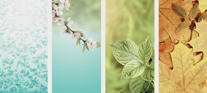 Embracing Your Body’s Season: The Journey of Perimenopause